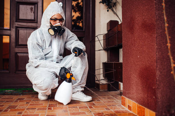 Reliable Bed Bug Control contractor in Riverdale Park, MD by Nex Pest Control