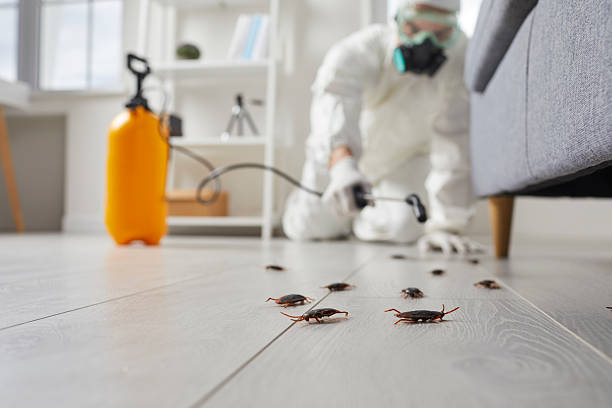 Trusted Fumigation Services service in Riverdale Park, MD - Nex Pest Control