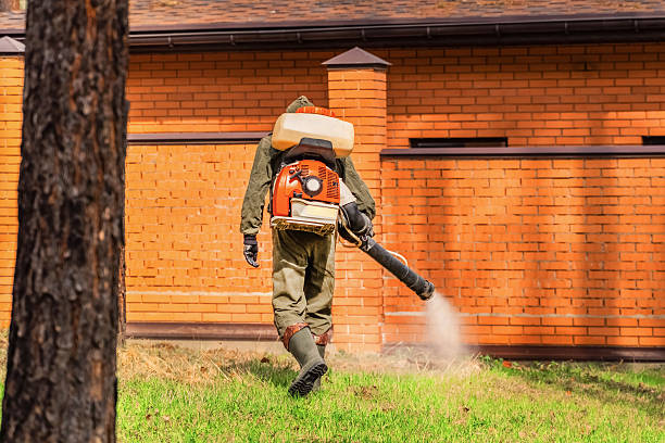 Trusted Ant Control service in Riverdale Park, MD - Nex Pest Control